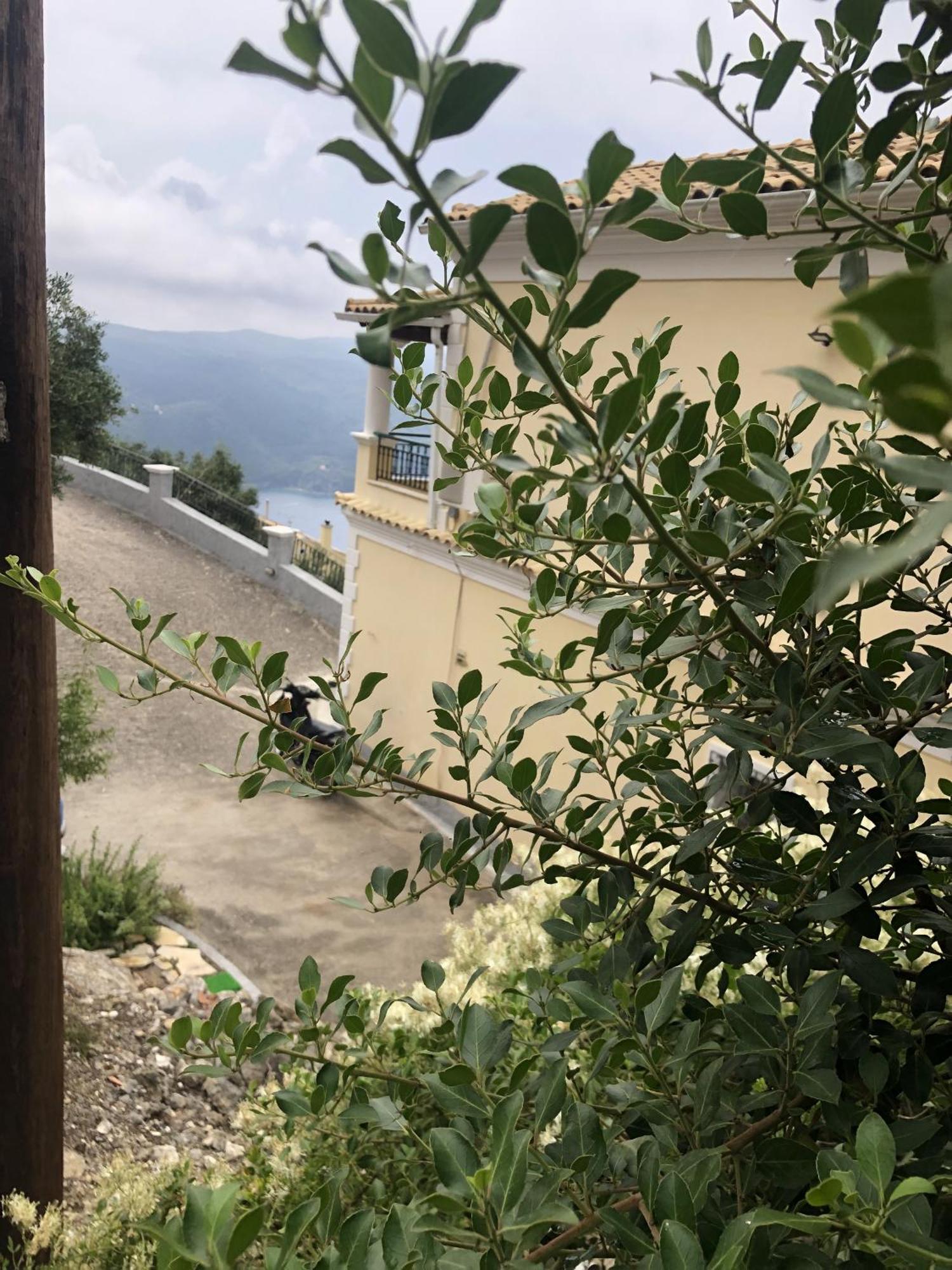 Appartamento Mariza'S View House Lákones Esterno foto